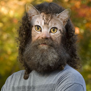 SapolskyCat