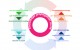 Knowledge Propagation Circle Diagram Knowledge Propagation Circle Diagram