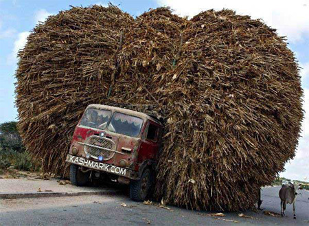 firewood on track
