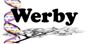 Werby Group