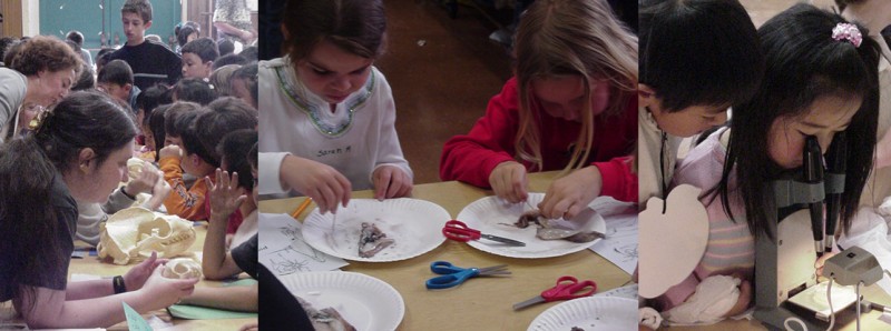 Kids Doing Science at Alamo