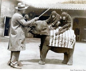 SF Zoo in 1931