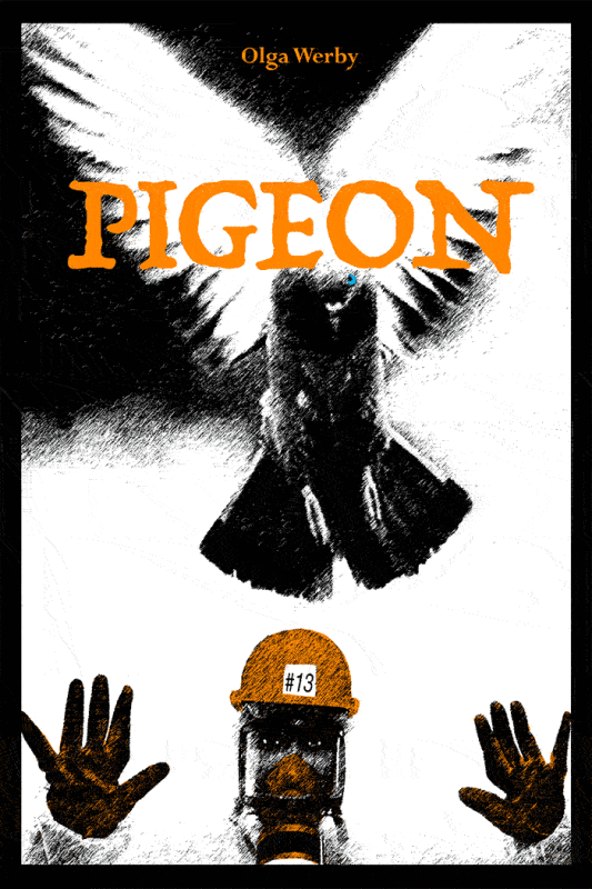 Pigeon Book Cover